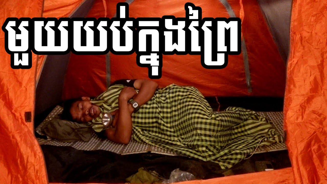 Set up an adventure tent, sleep in the forest for a night, and cook a meal.