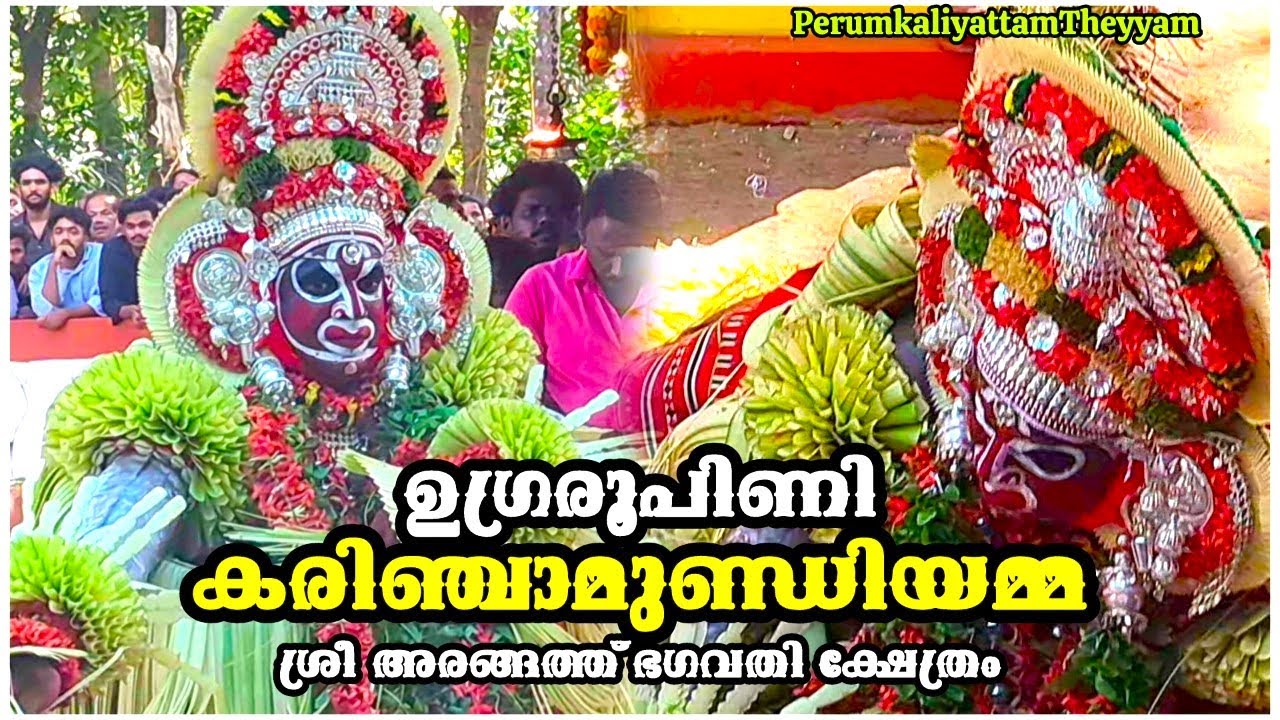 ഉഗ്രരൂപിണി കരിഞ്ചാമുണ്ഡിയമ്മ | ശ്രീ അരങ്ങത്ത് ഭവതി ക്ഷേത്രം| Karinjamundi #theyyamvideo #theyyam 595