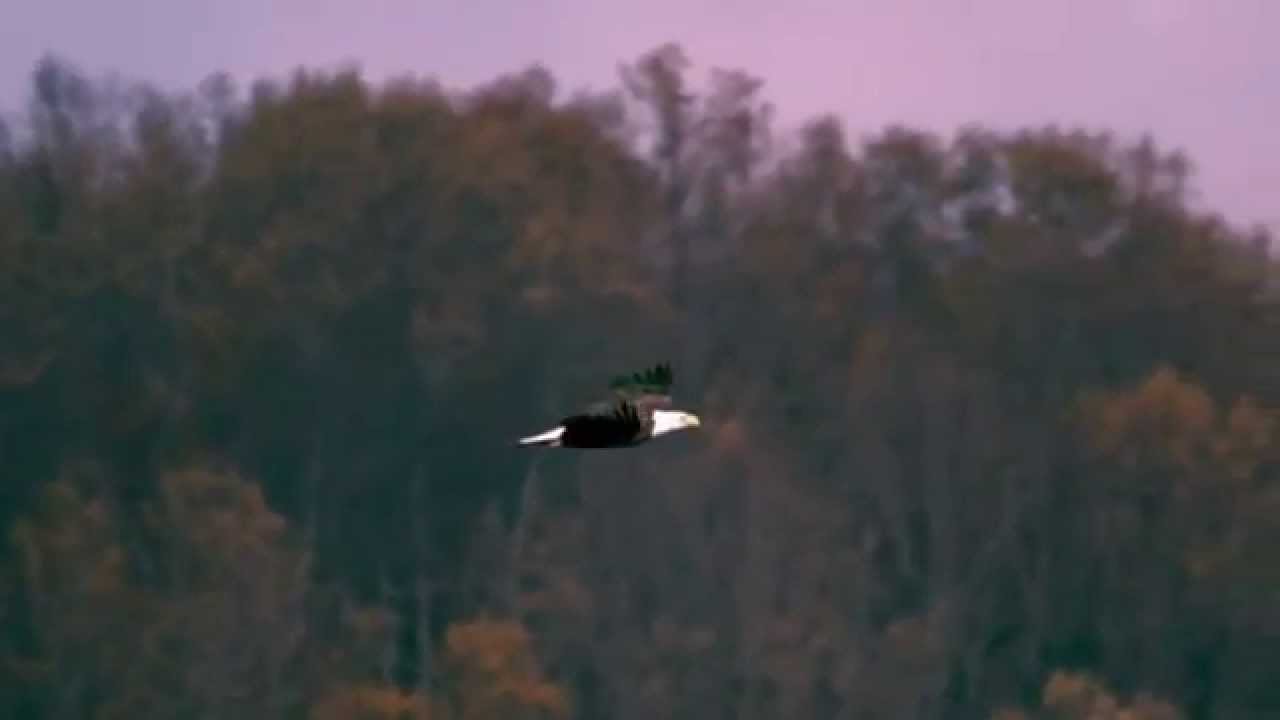 HELLOWEEN Claws SUB AL ESP & LYRICS