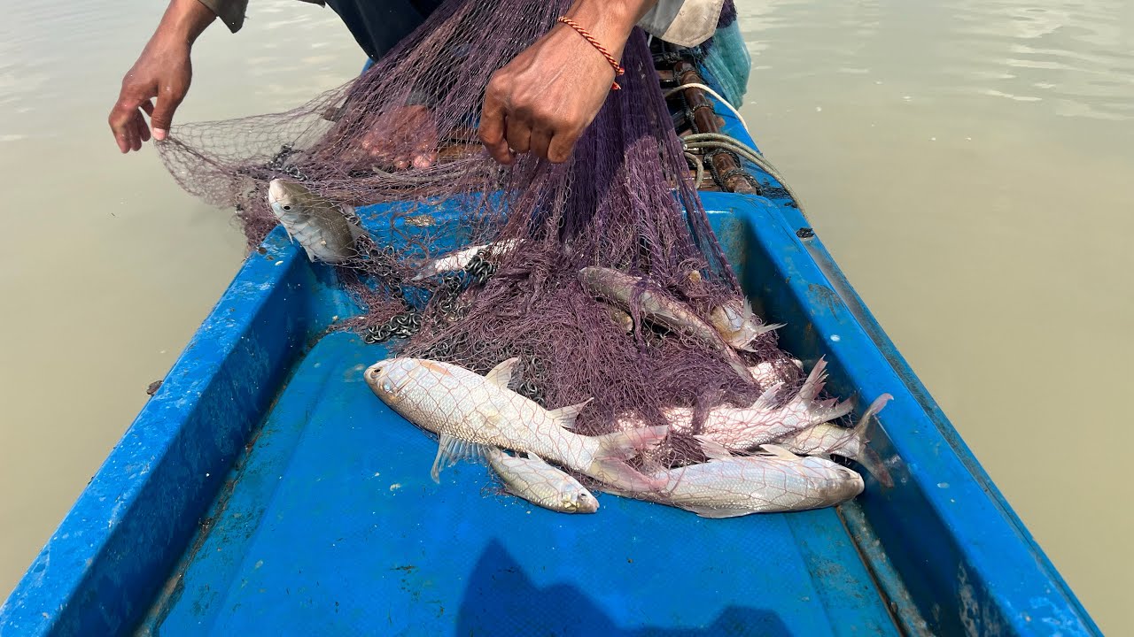 #fishing #fishingvideo #fishingcambodia #fishingthailand #fishingpilipinese
