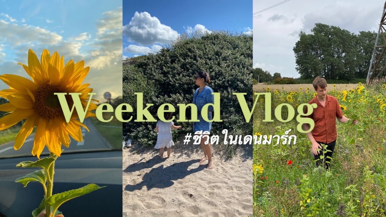 WKD VLOG94: รวมญาติสามีฝรั่งประจำปี,  สวนสตรอเบอรี่ เก็บเอง🍓