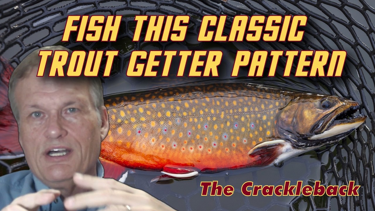 Crackleback Magic: Watch Fish Chase This Pattern
