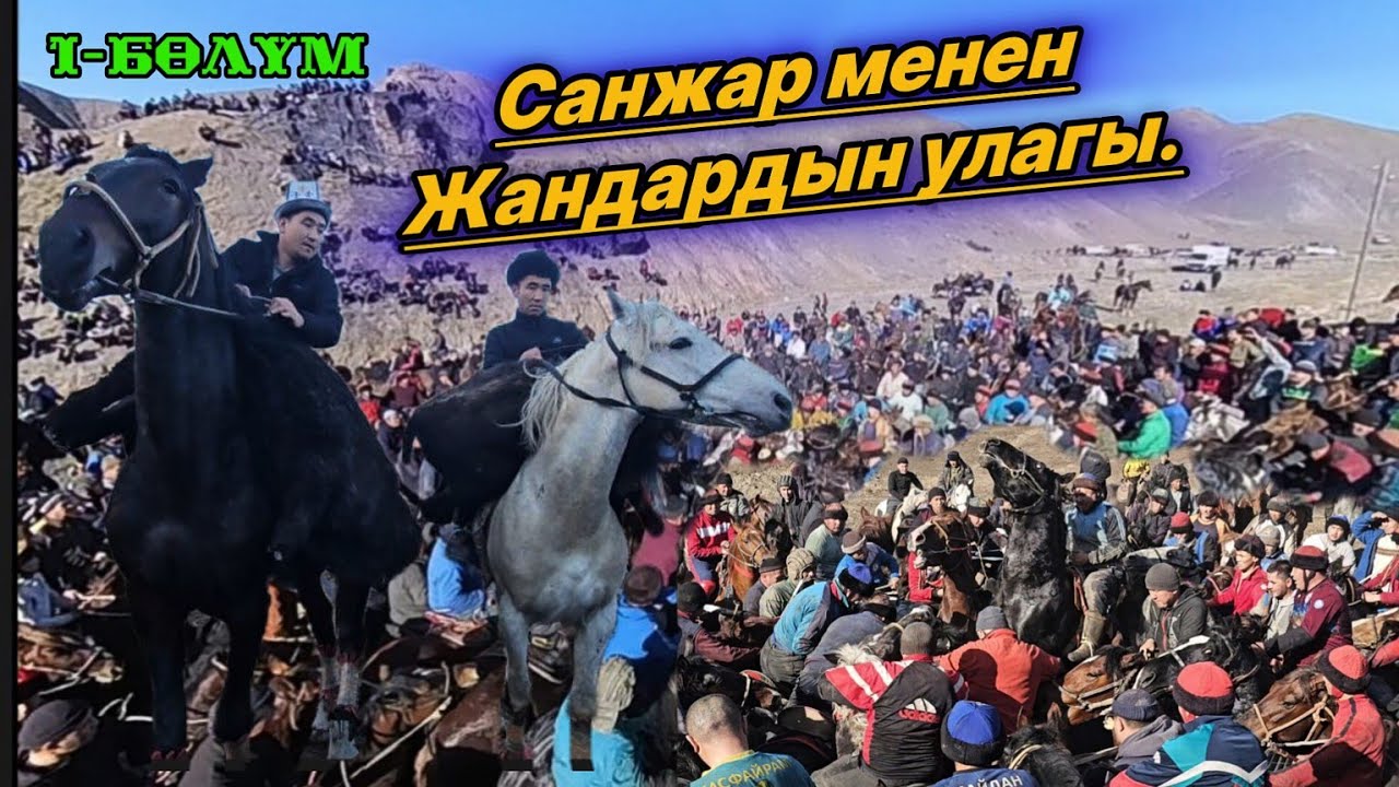 Кадамжайда чоң улак болду👆Санжар менен Жандардын улагы.