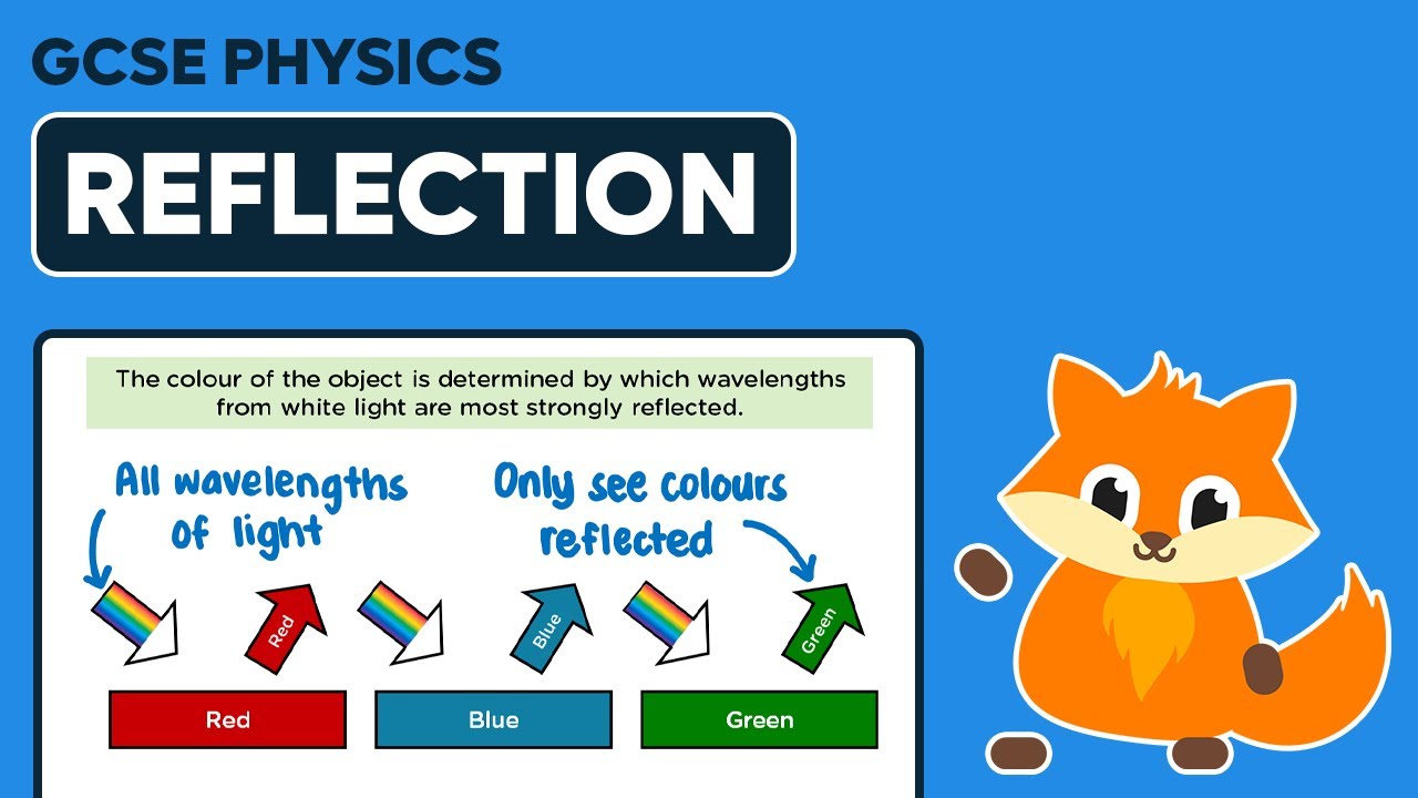 Reflection & Colour - GCSE Physics