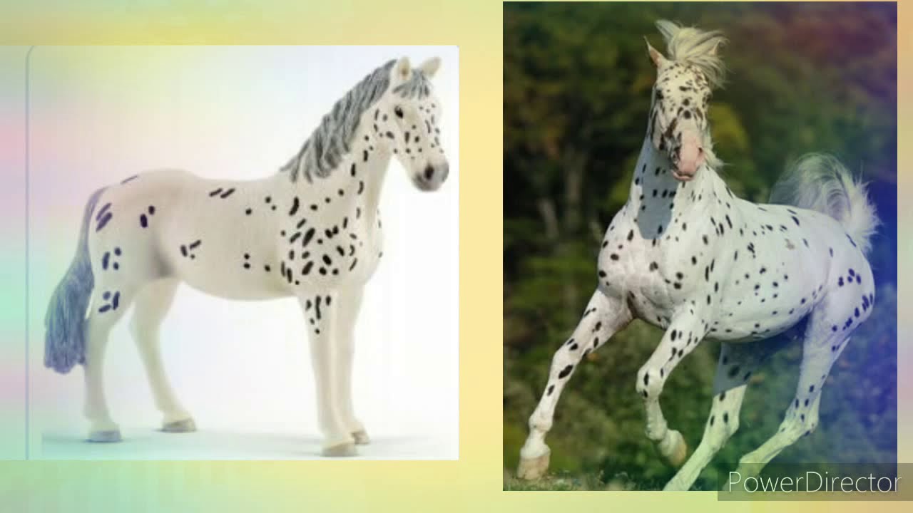 Konie figurki w prawdziwym życiu 🤔