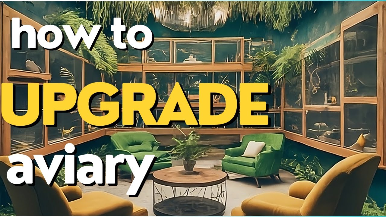 Upgrade Your Lovebird Aviary Like a Pro! | English Captions