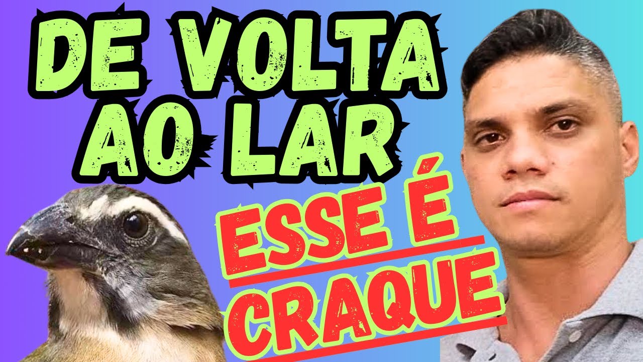 MEXIDA DE TRINCA FERRO( DE VOLTA AO LAR)