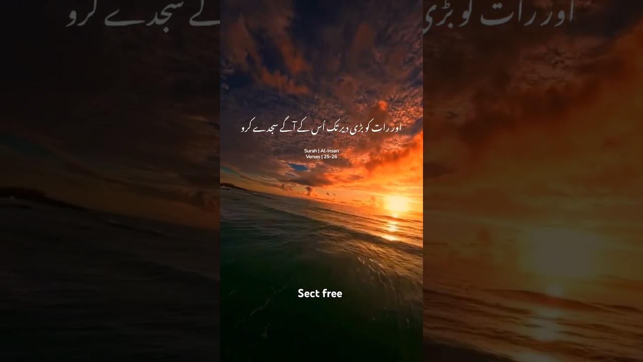 Quran ✨🫀 #touheed #allah #allahuakbar #islamicfigure #foryou #islamicprophet #shortsfeed #shortvideo