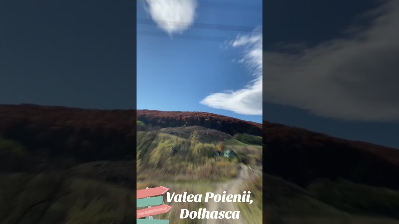 #dolhasca