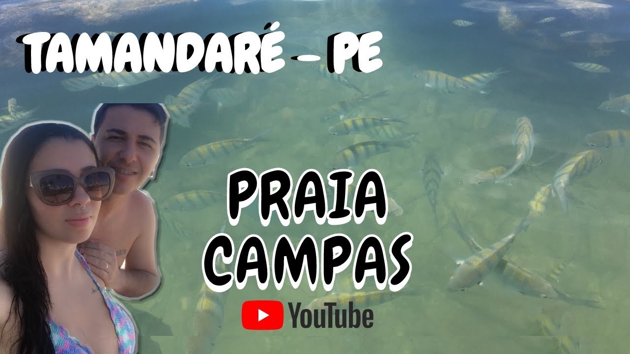 PRAIA DE CAMPAS - TAMANDARÉ l PERNAMBUCO l MELHORES PRAIAS DE TAMANDARÉ l NORDESTE