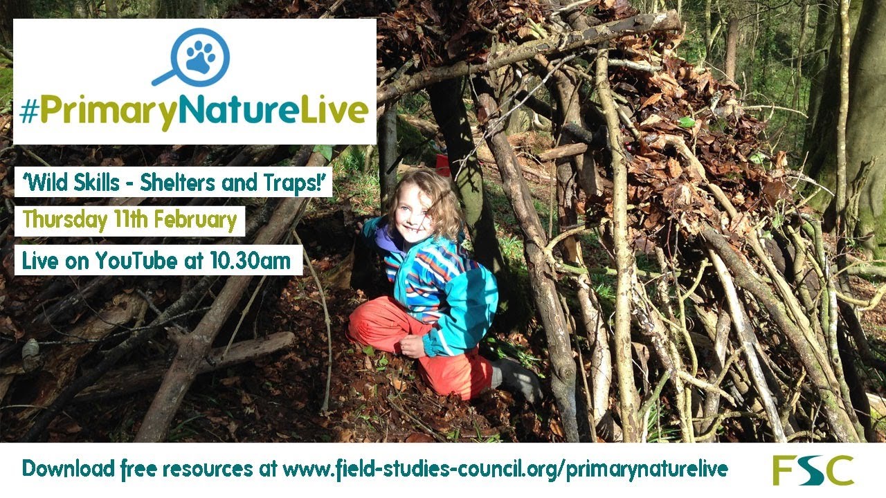 FSC | Primary Nature Live | Wild skills - shelters and traps