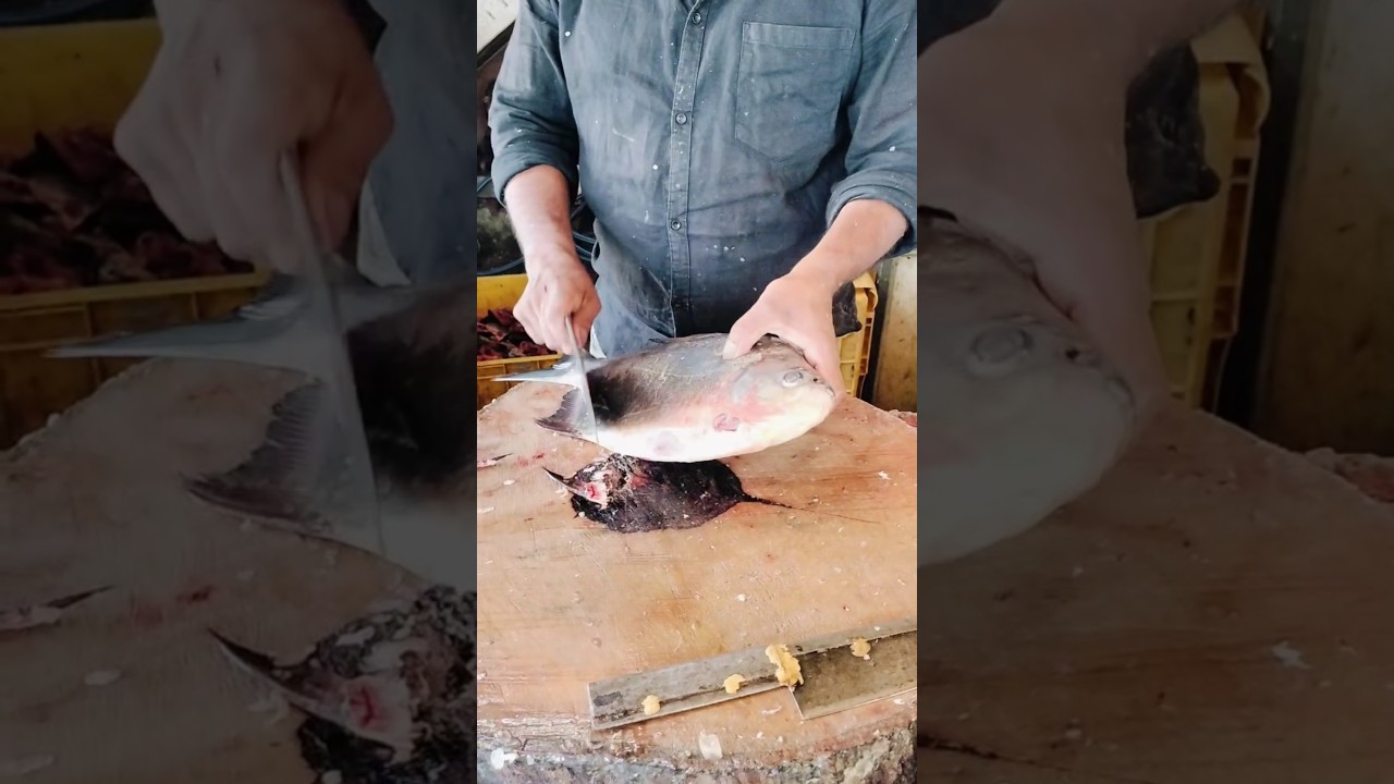 RC fish cutting #shorts #trending #youtubeshorts #1million