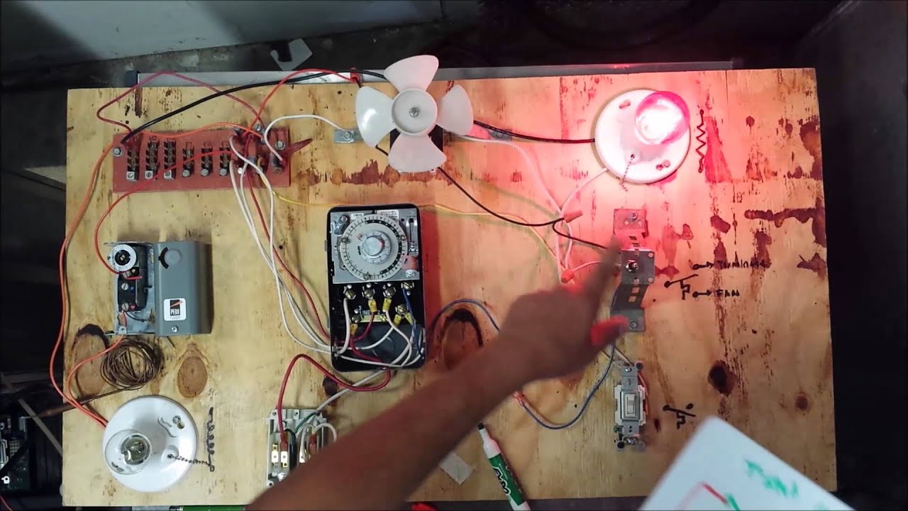 Freezer Defrost Timer Live Operation