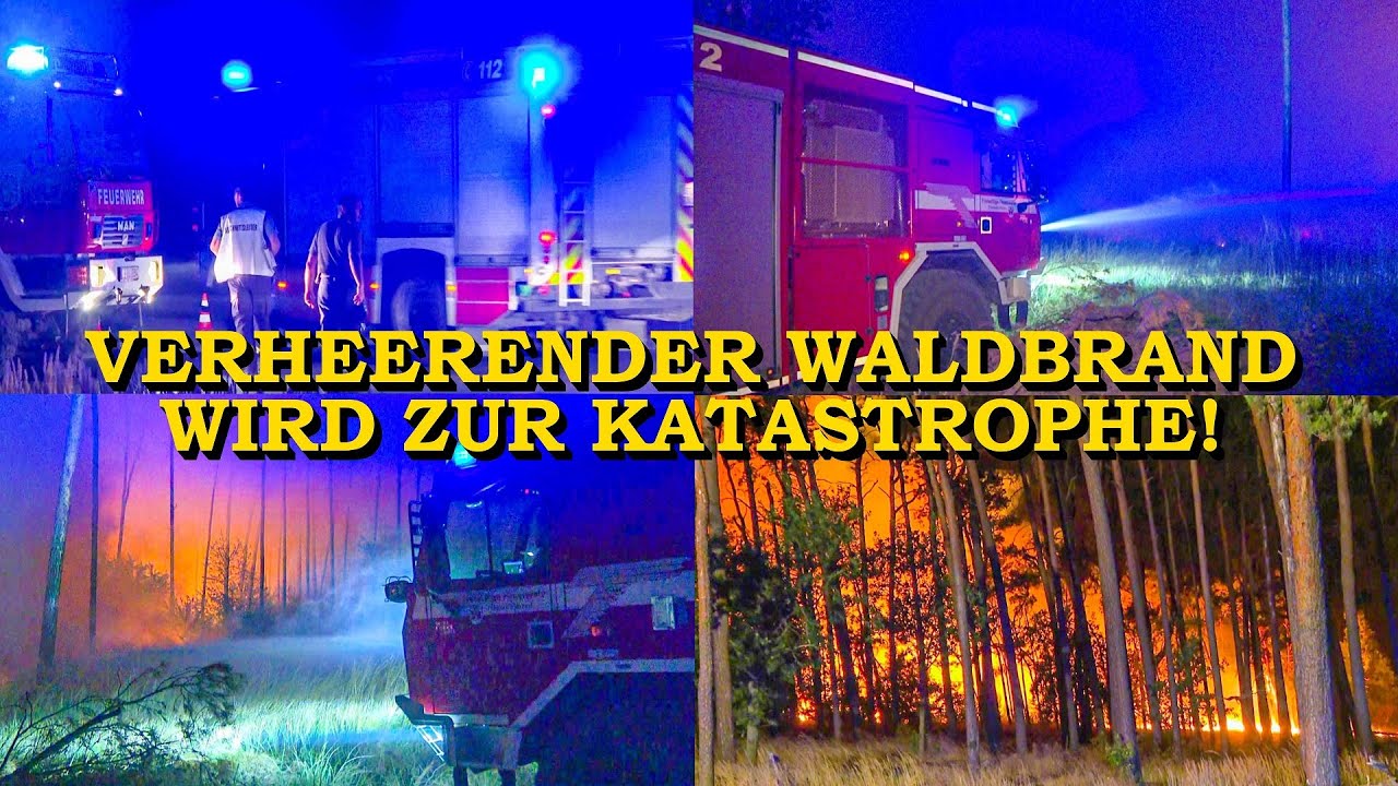 [WALDBRAND WIRD ZUR KATASTROPHE] - 800 HEKTAR IN FLAMMEN - | 1.000 FEUERWEHRLEUTE | Elbe-Elster (T2)