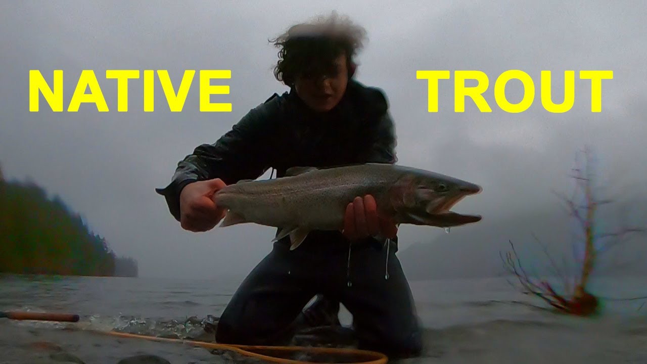 GIANT Sea-run CUTTHROAT TROUT From Shore TWITCHING HAIR JIGS