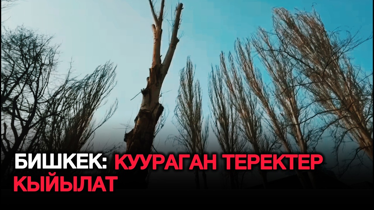 Бишкек мэриясы көп кабаттуу унаа токтотуучу жай курат