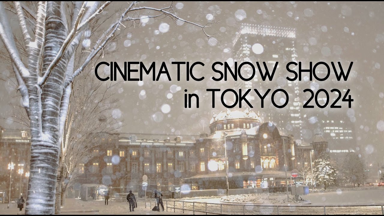 CINEMATIC SNOW SHOW in TOKYO 2024 東京の雪景色