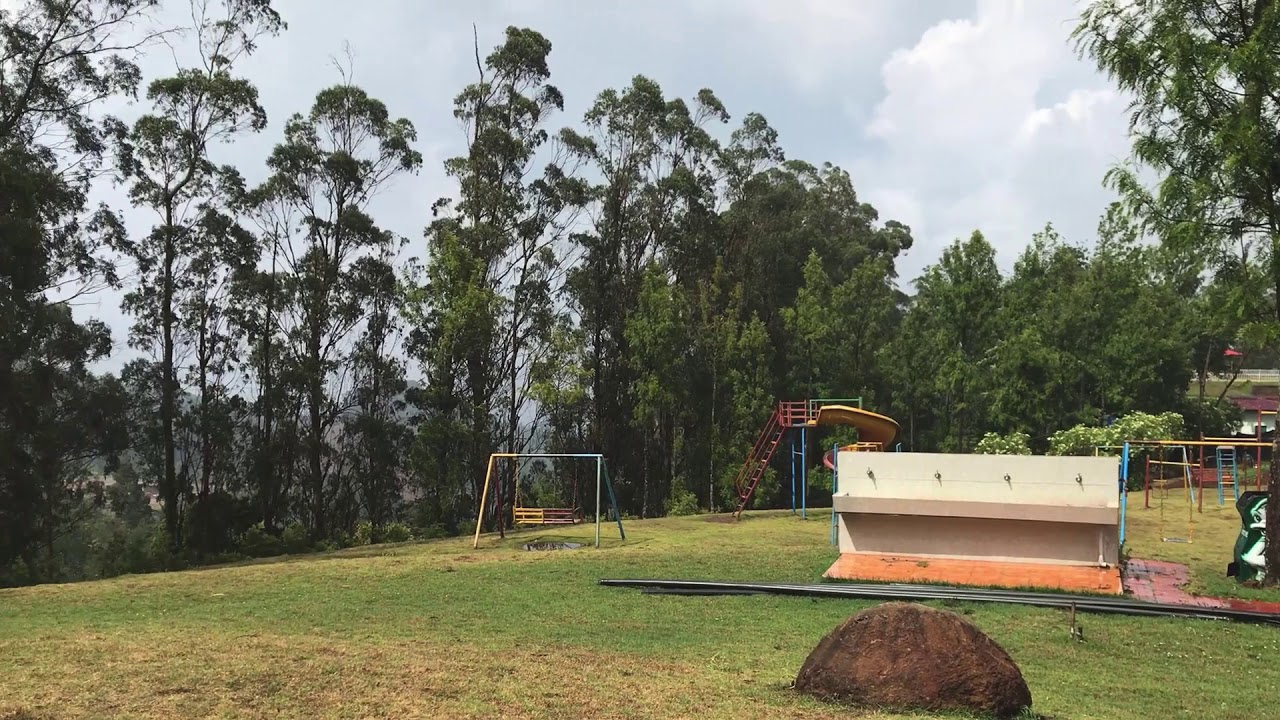 View of a tea estate in Ooty, Tamil Nadu, India