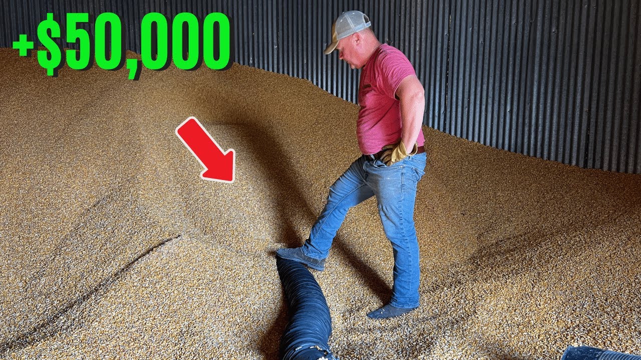 Grain Bin Clean Out