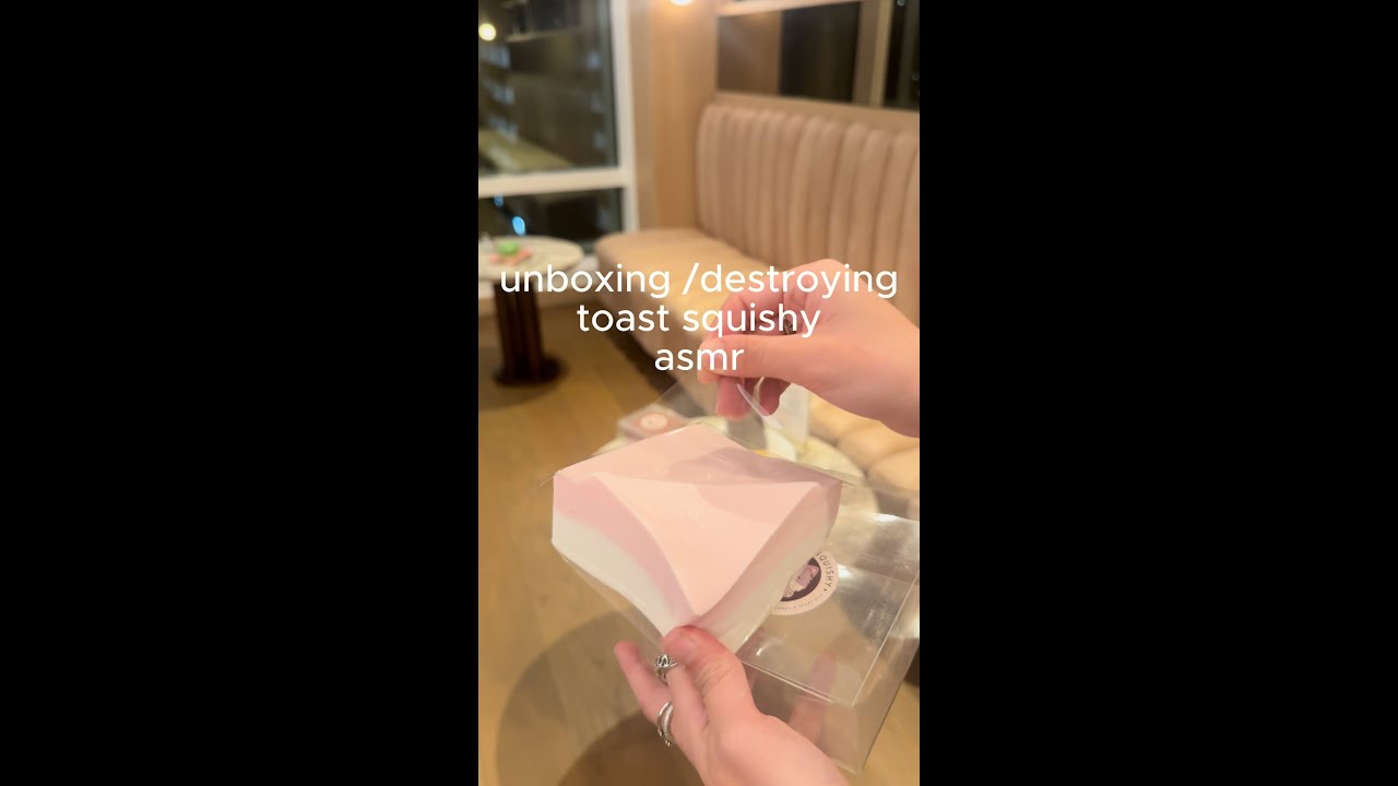 sticky toast slow rise squishy asmr unboxing.mov