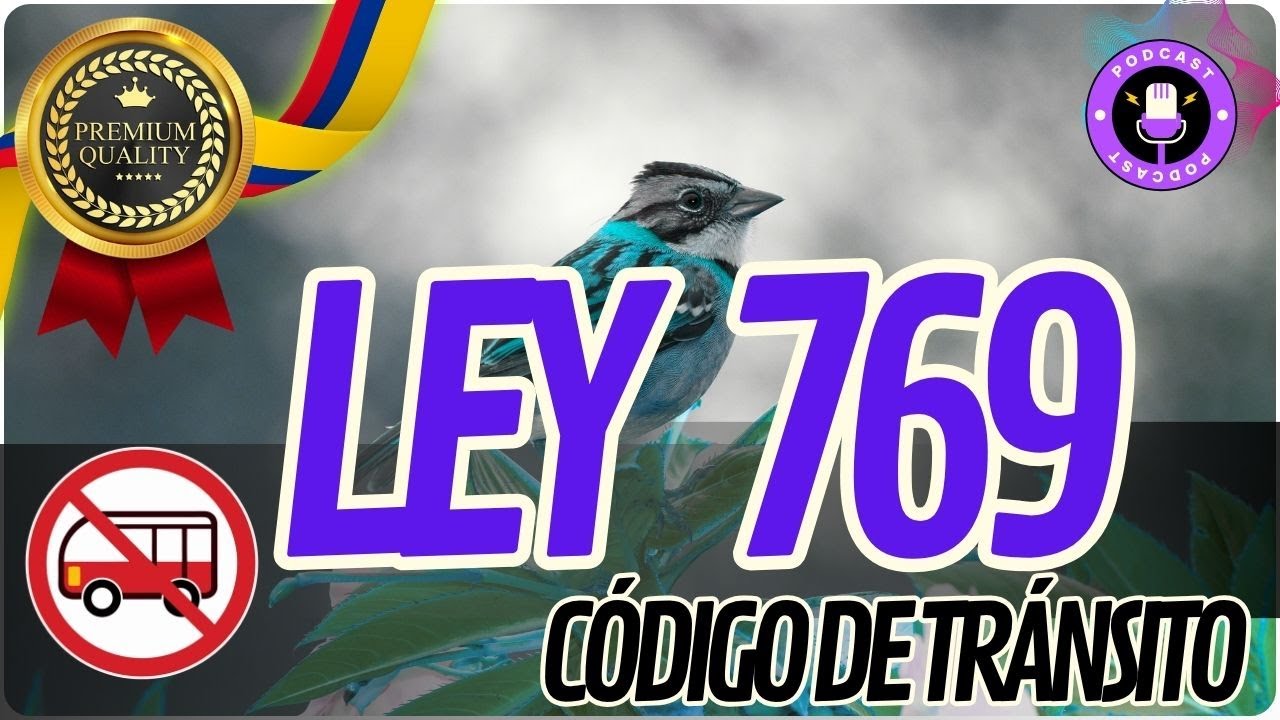 💎🏆 PREMIUM - LEY 769/2002 – Código Nacional de Tránsito