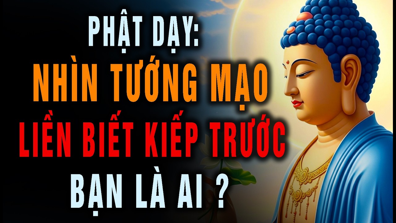 Phật Dạy: Nhìn Tướng Mạo Liền Biết Kiếp Trước Bạn Là Ai?