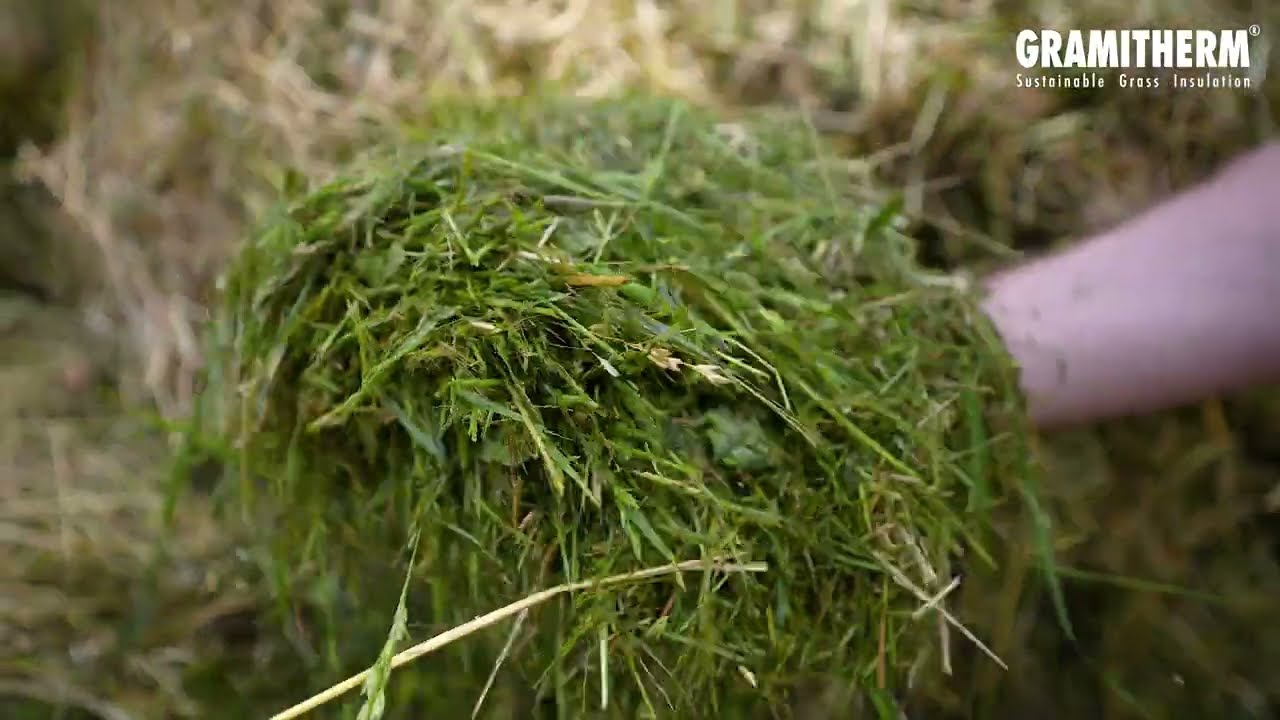 Plus de bien être avec moins de ressources : le choix de l'herbe 🌿comme isolant !