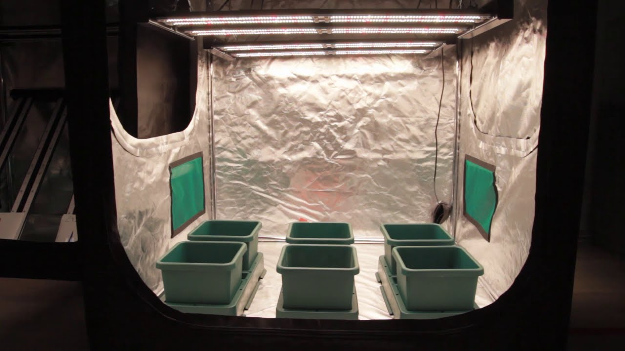 LED Full Spectrum GrowDom