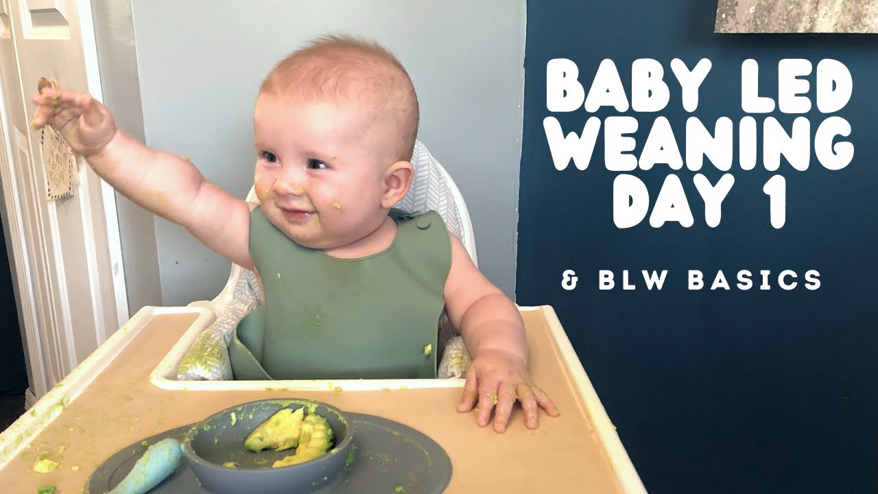 BABY LED WEANING DAY 1 | Basics & First Food!