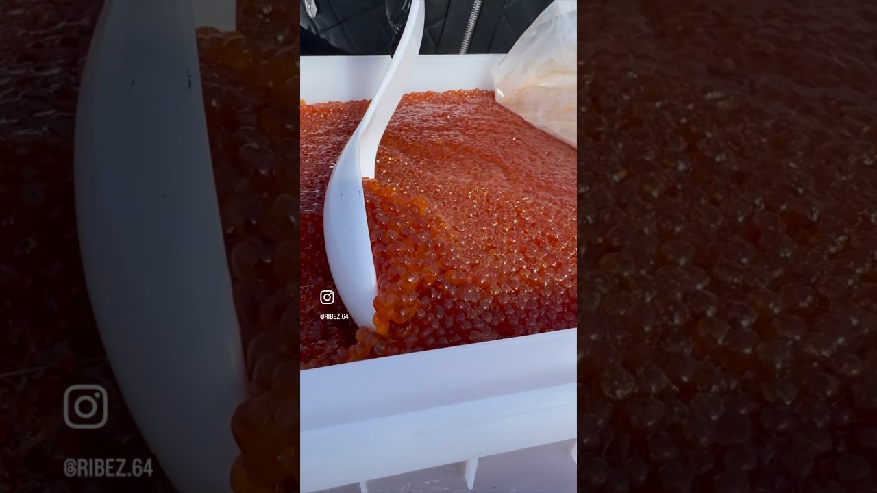 🔴ИКРА ИКРЕ РОЗНЬ #рыбец64 #масленница #икра