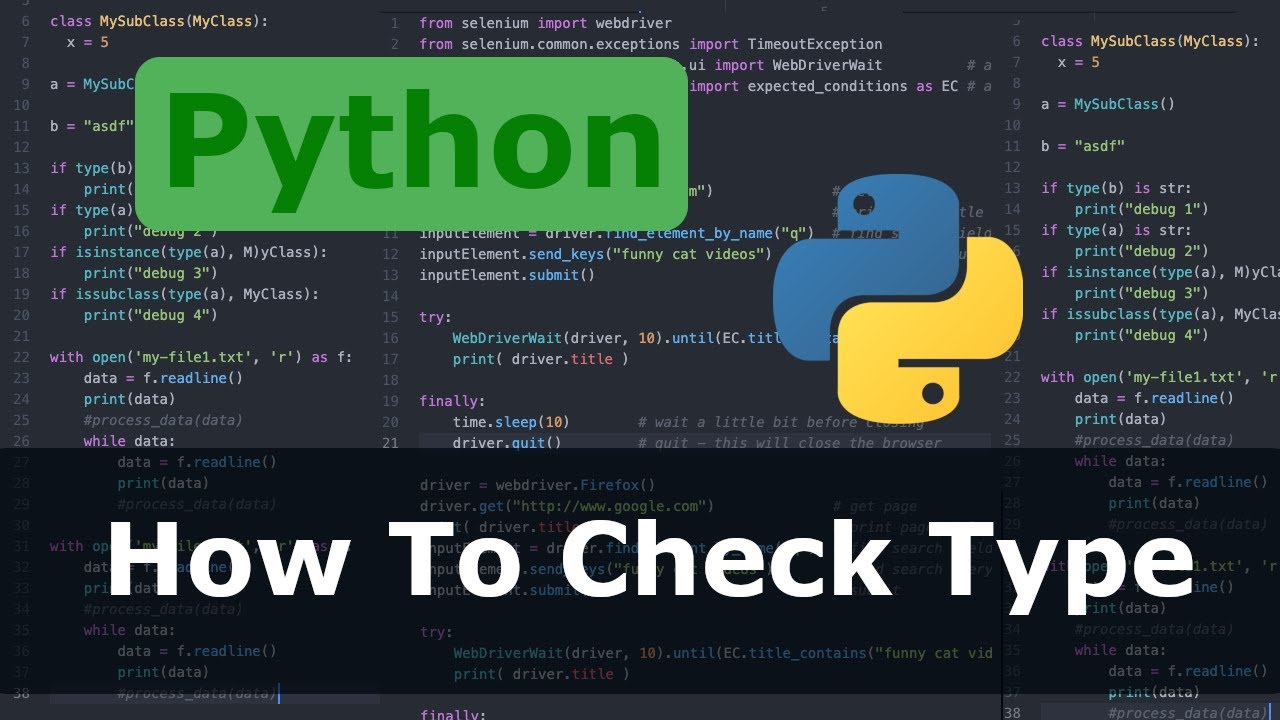 Python How To Check Type
