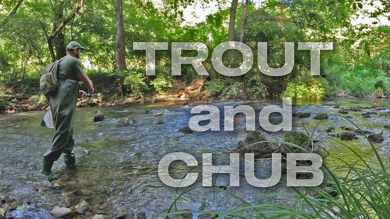 Pecanje Pastrmke i Klena / Trout and Chub on Ultralight
