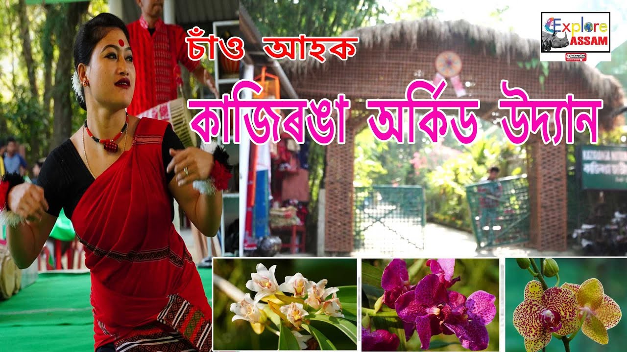 KAZIRANGA ORCHID PARK