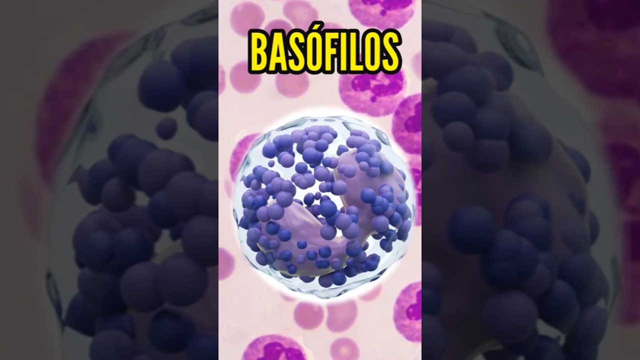 BAS&Oacute;FILOS #curiosidades #salud #cienciaxtremard #sabiasque #ciencia #laboratorio #science