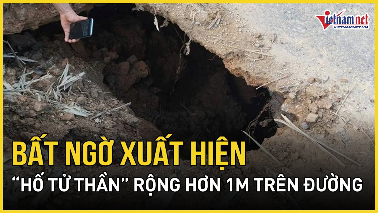 Bất ngờ xuất hiện 