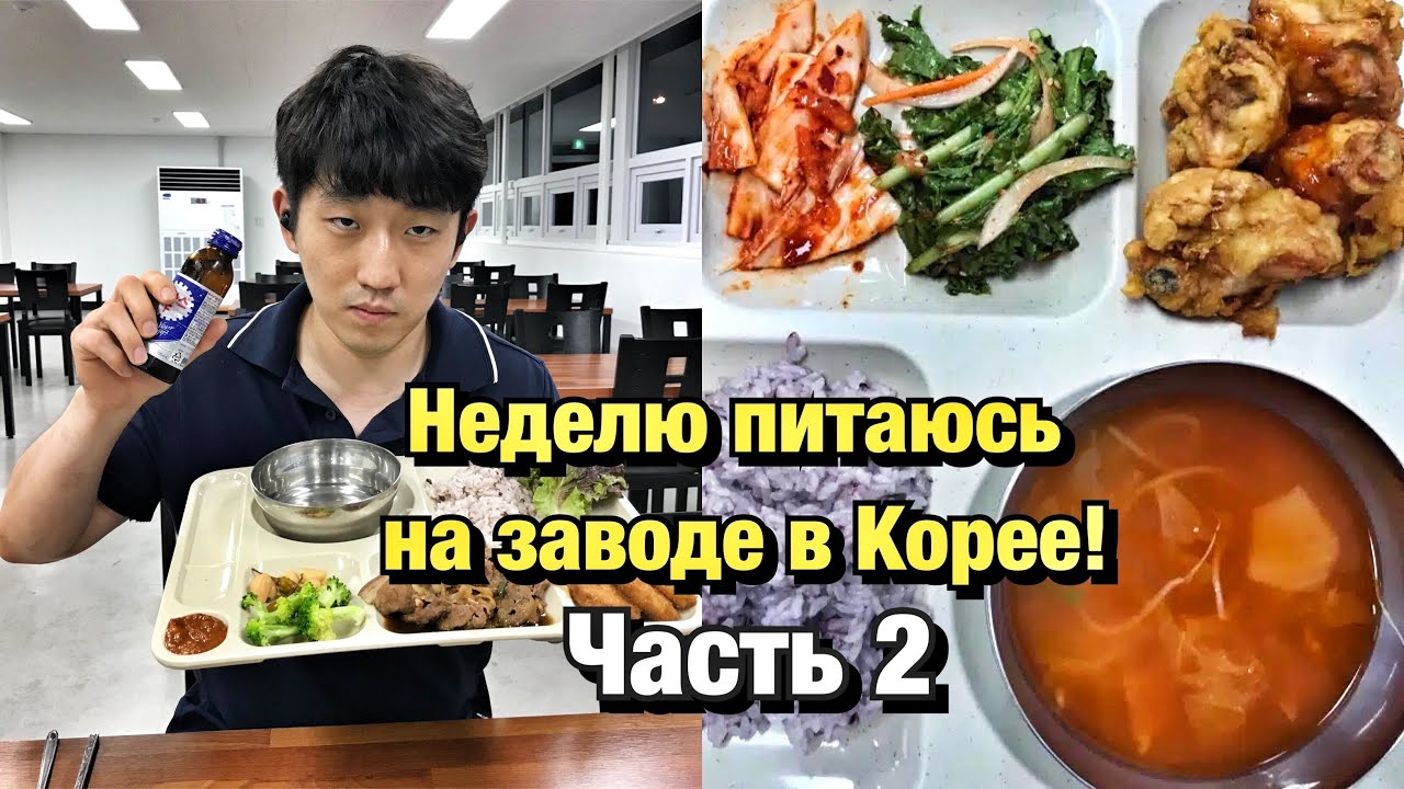 НЕДЕЛЮ ЕМ ТОЛЬКО ЕДУ НА ЗАВОДЕ! ЧЕМ КОРМЯТ НА ЗАВОДЕ В КОРЕЕ? НИКОЛАЙ ПО-КОРЕЙСКИ
