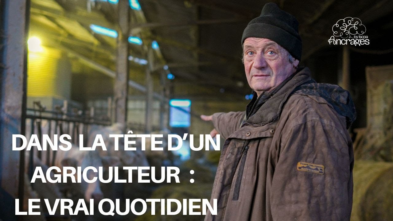Dans la tête d'un agriculteur : Le vrai quotidien