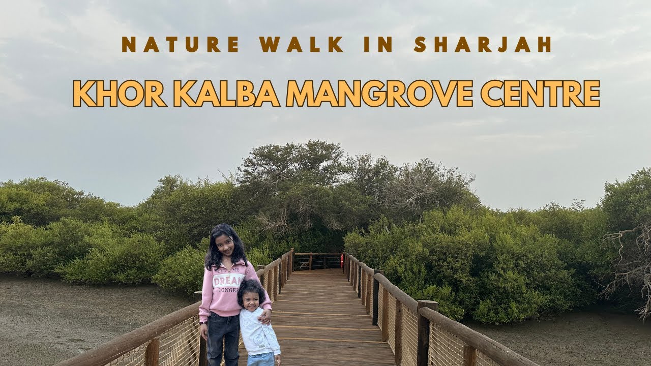 Exploring Kalba Mangrove Centre | Hidden Nature Gem in Sharjah | #UAETravel #sharjahvlogs
