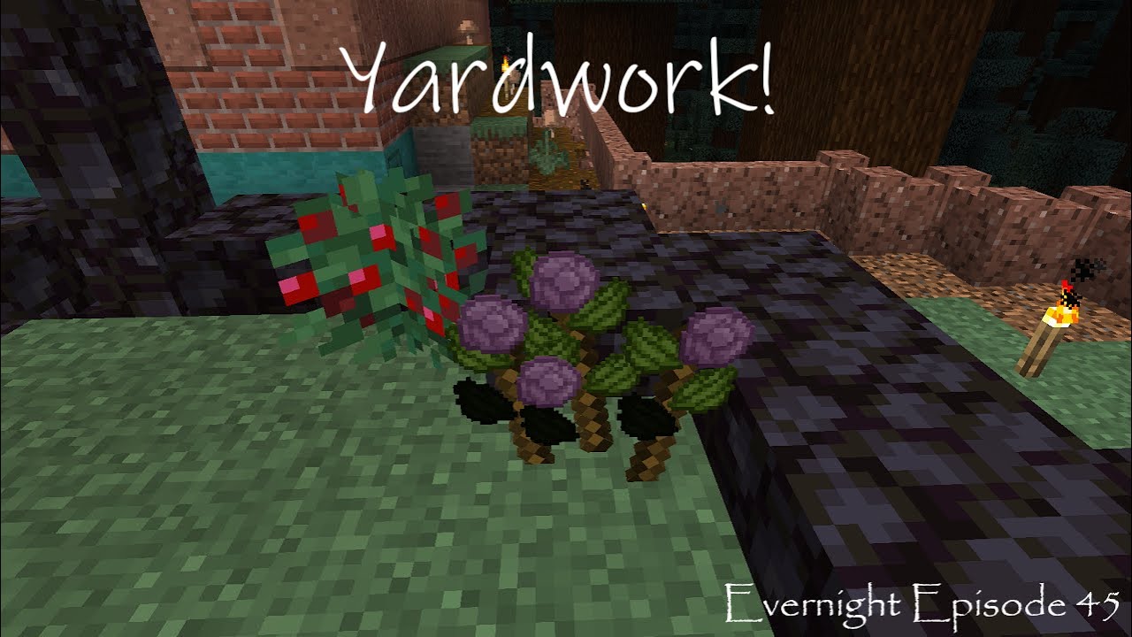Evernight Episode 45 Yardwork