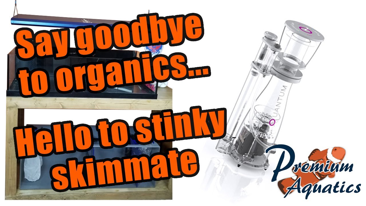 Tank Series - My Bubbles!  Hooking up the Nyos Protein Skimmer