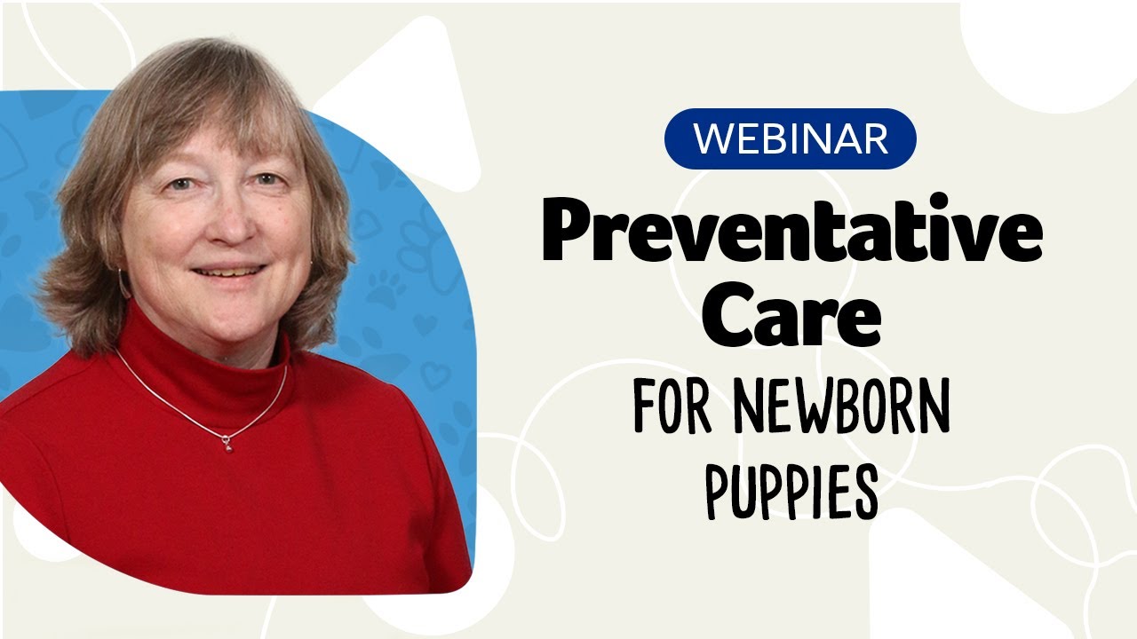 Preventative Care for Young Puppies Webinar