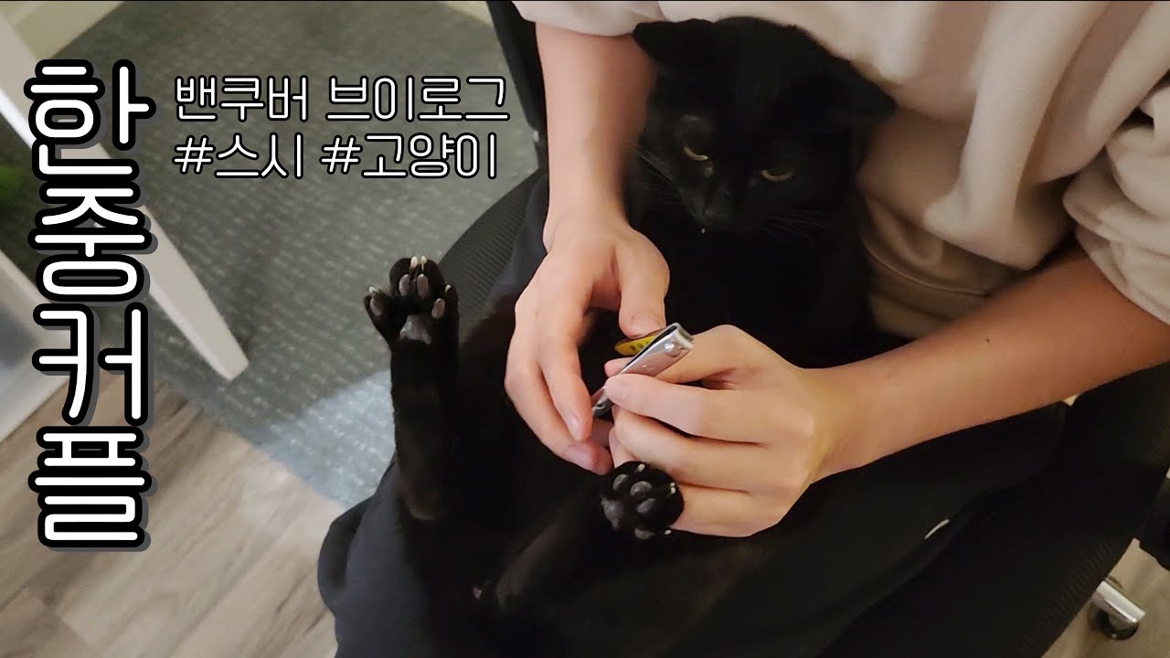 밴쿠버에서 스시가 먹고 싶으면 생기는 일