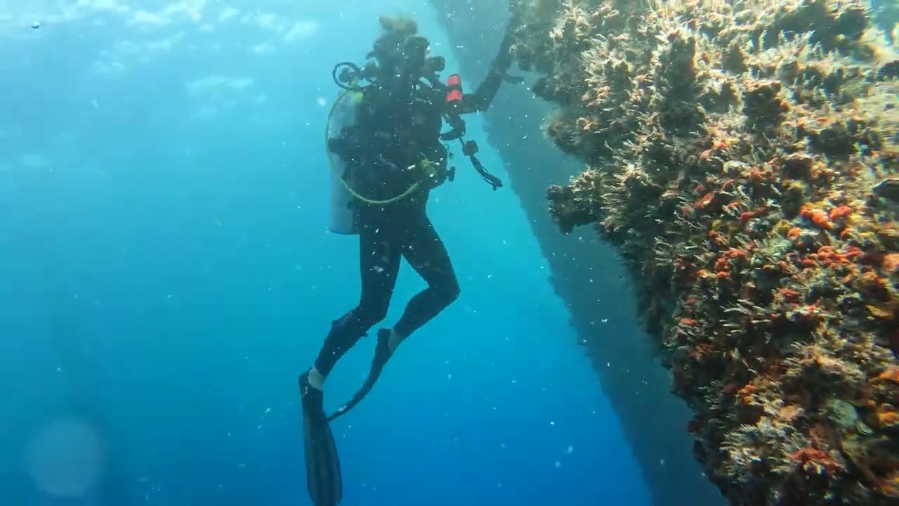 Reefer3