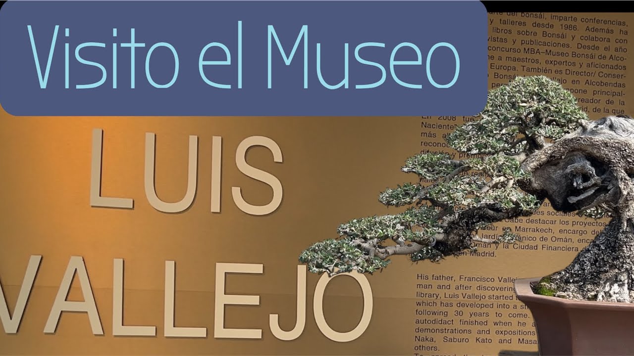 VISITO el MUSEO del Bonsai de LUIS VALLEJO de Alcobendas 