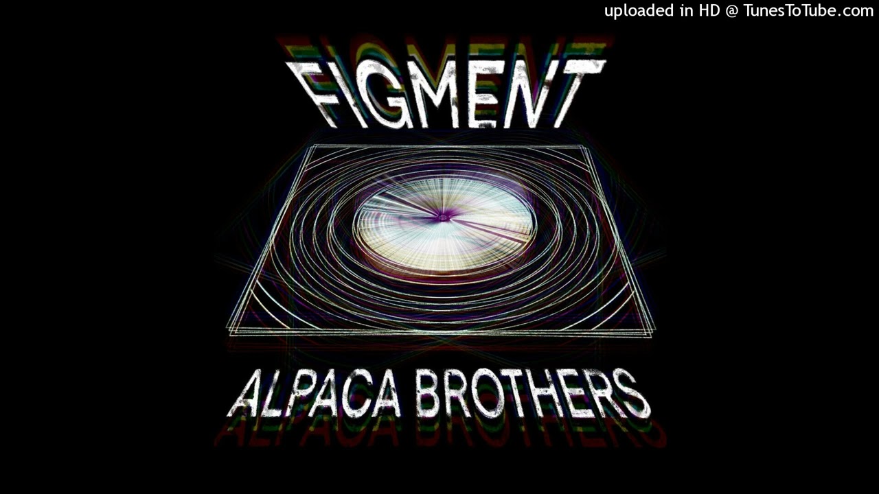 Alpaca Brothers - Not The Time