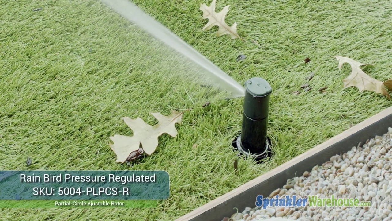 5004-PLPCS-R Rain Bird Pressure Regulated Rotor