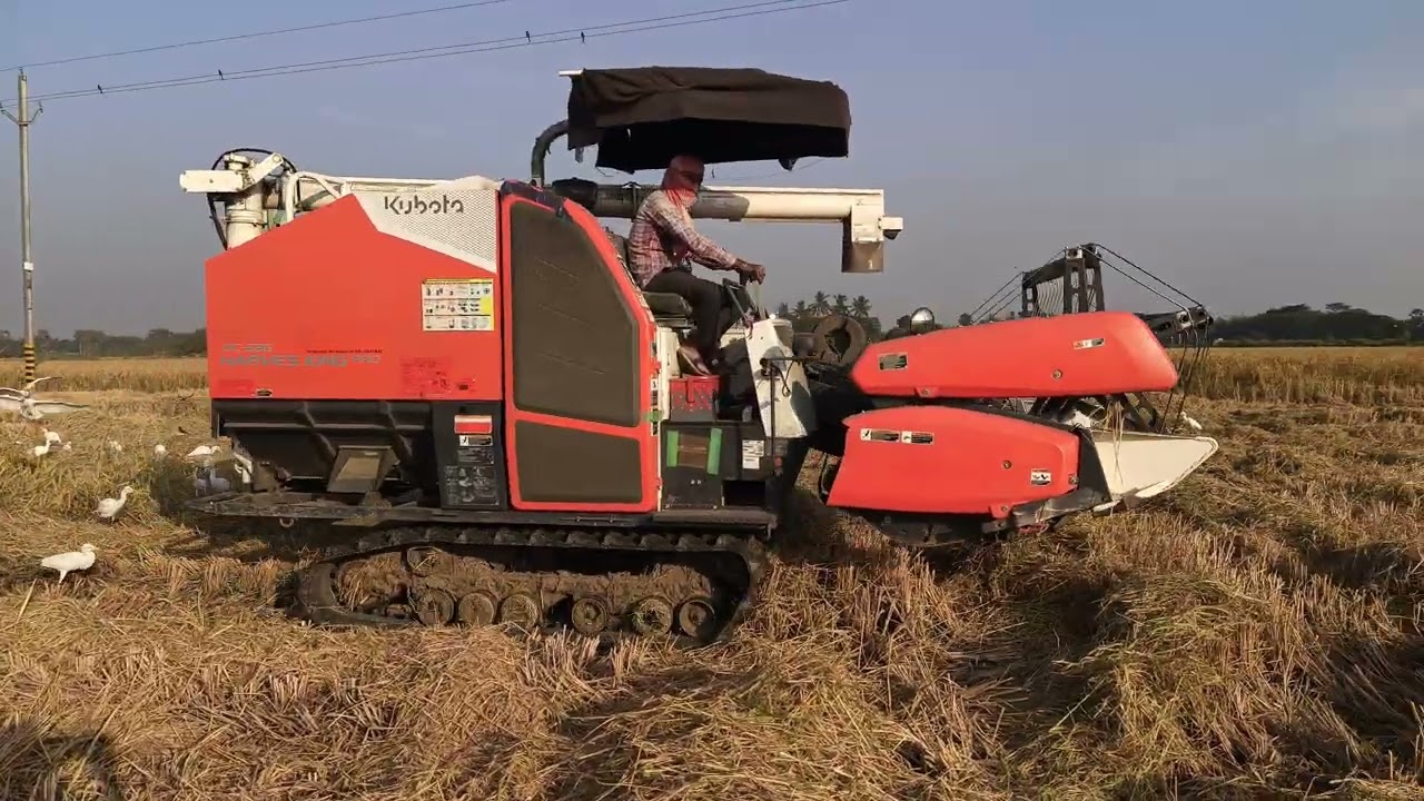 Kubota King Pro harvester 💪❤️💪👑🙏 subscrib🙏❤️#trending #viralvideo 