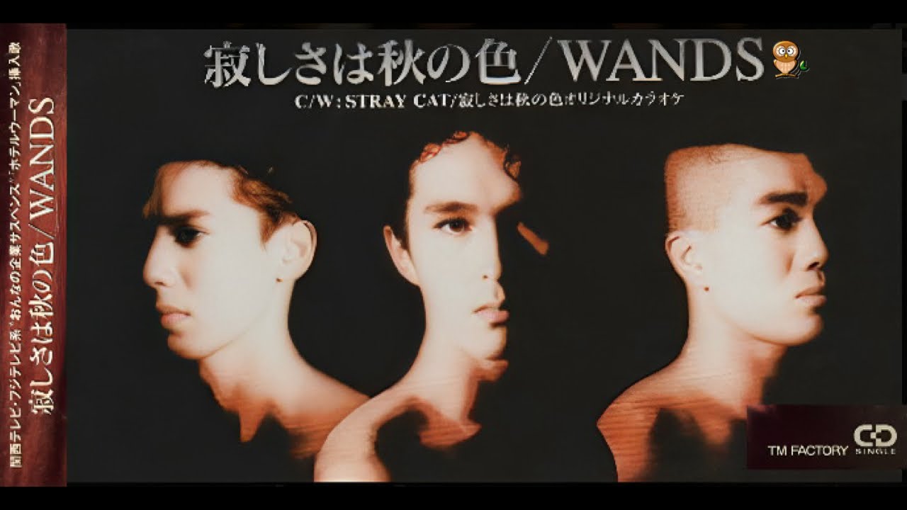 寂しさは秋の色・1st Single