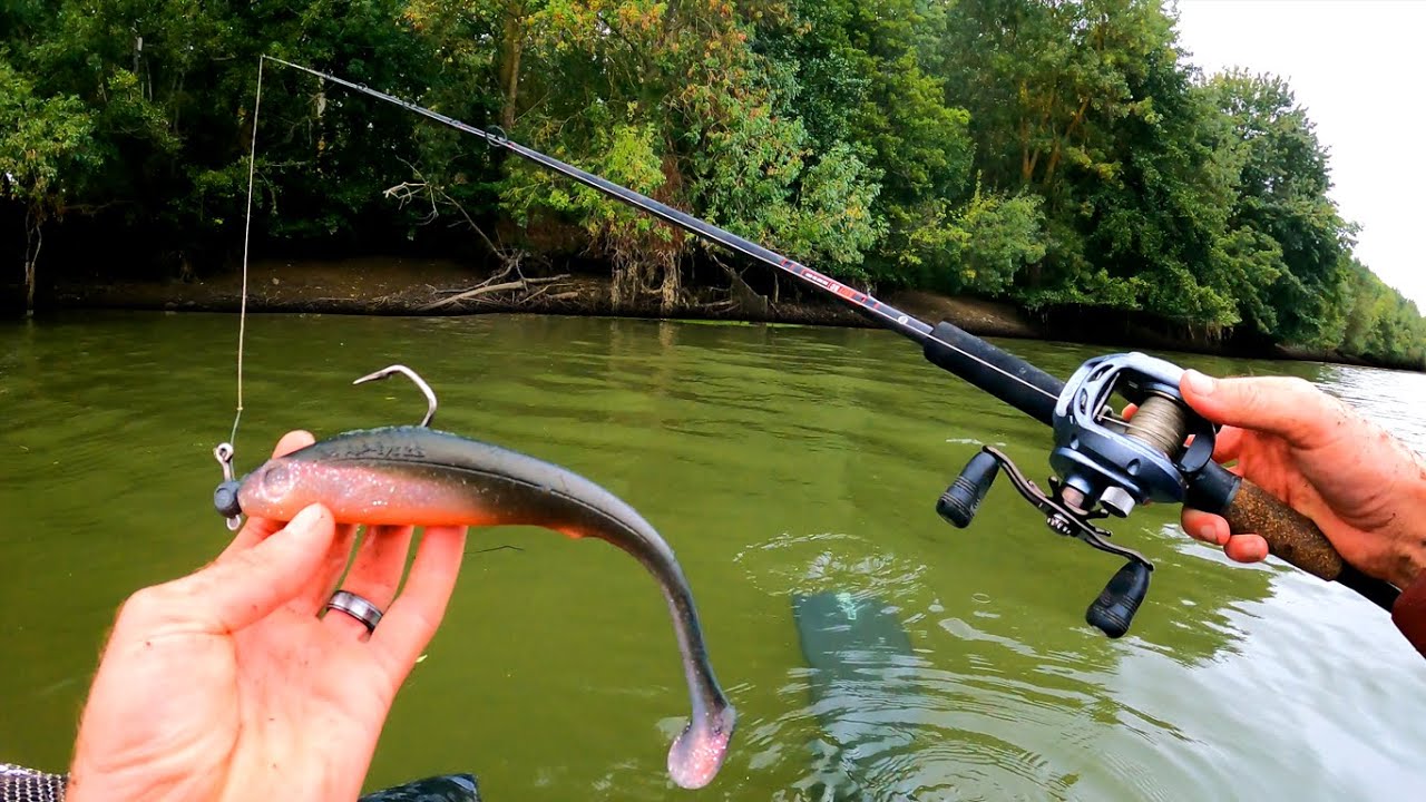 Ma Rivière d'Enfance se vide... Je pêche le plus GROS Poisson de ma vie ! (Pêche Float-Tube)