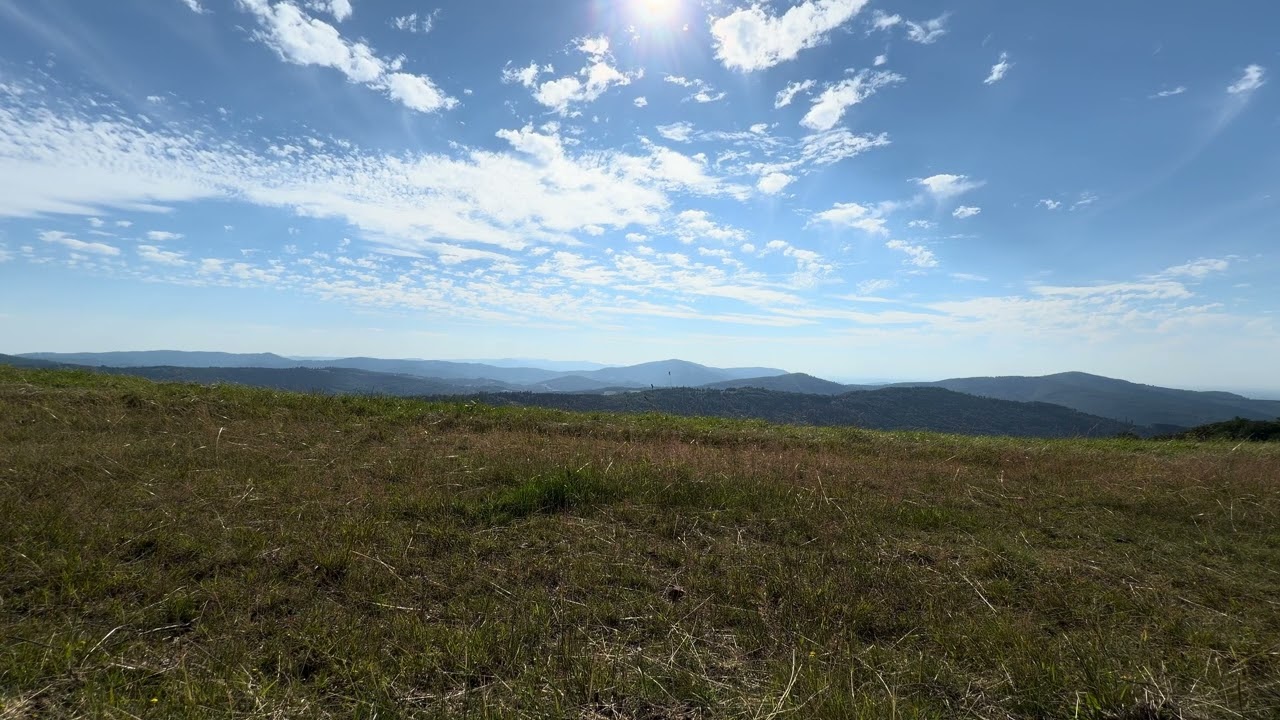 Carpathian Mountains Nature Sounds &bull; Forest, Breeze & Birds &bull; Summer in the Carpathians &bull; Ambience